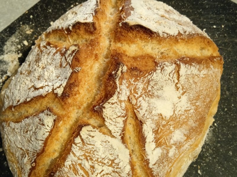 Cliquez pour zoomer ! Pain Cocotte Thermomix par dubois54