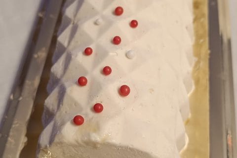 Cliquez pour zoomer ! Bûche vanille praliné Thermomix par Milou12640