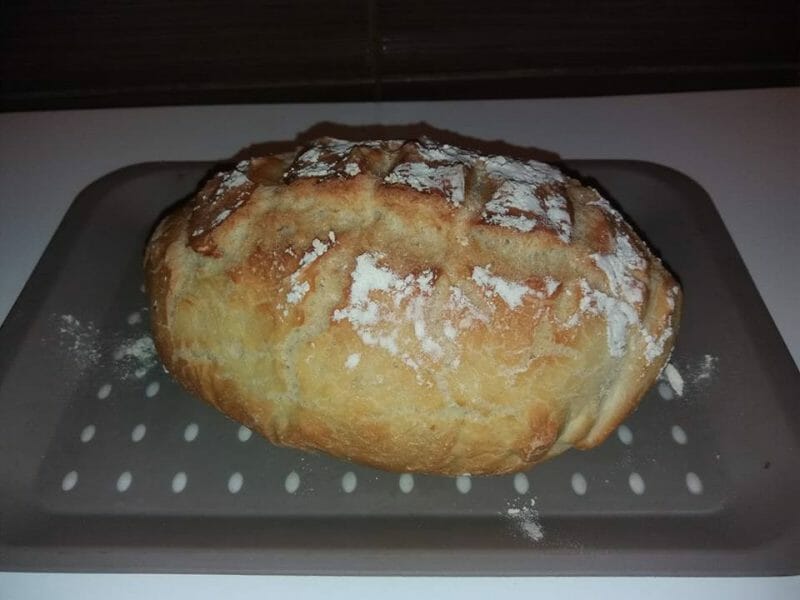 Cliquez pour zoomer ! Pain Cocotte Thermomix par jodinette