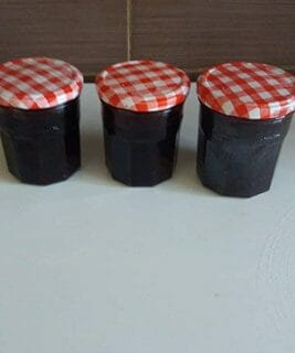 Cliquez pour zoomer ! Confiture de myrtilles au Thermomix