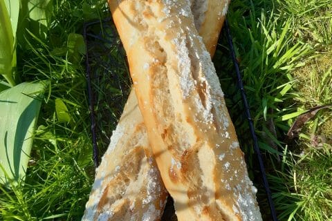 Cliquez pour zoomer ! Photo de jodinette