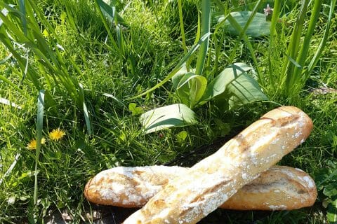 Cliquez pour zoomer ! Photo de jodinette