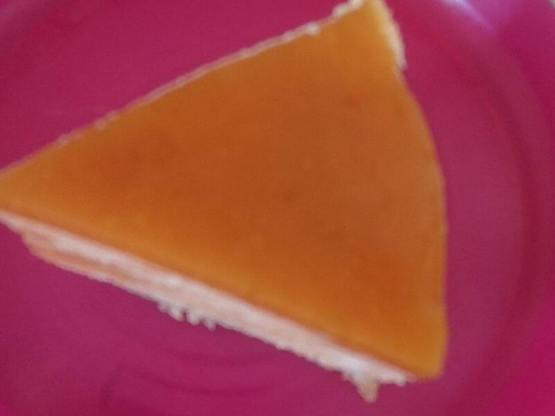 Cliquez pour zoomer ! Bavarois à l’abricot Thermomix par annah974