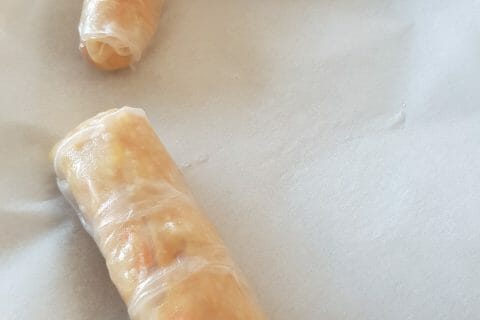 Cliquez pour zoomer ! Nems au poulet Thermomix par FANNYKKIKKI59640