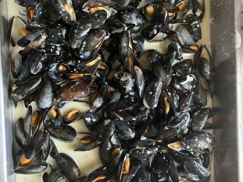 Cliquez pour zoomer ! Moules sauce poulette Thermomix par Bulma