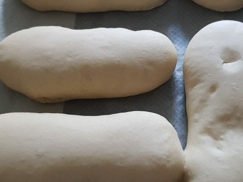 Cliquez pour zoomer ! Panini Thermomix par Sandrine milly