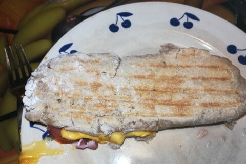 Cliquez pour zoomer ! Panini Thermomix par Aude1977