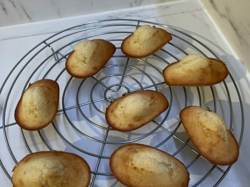 Cliquez pour zoomer ! Madeleines Thermomix par Anthony44000