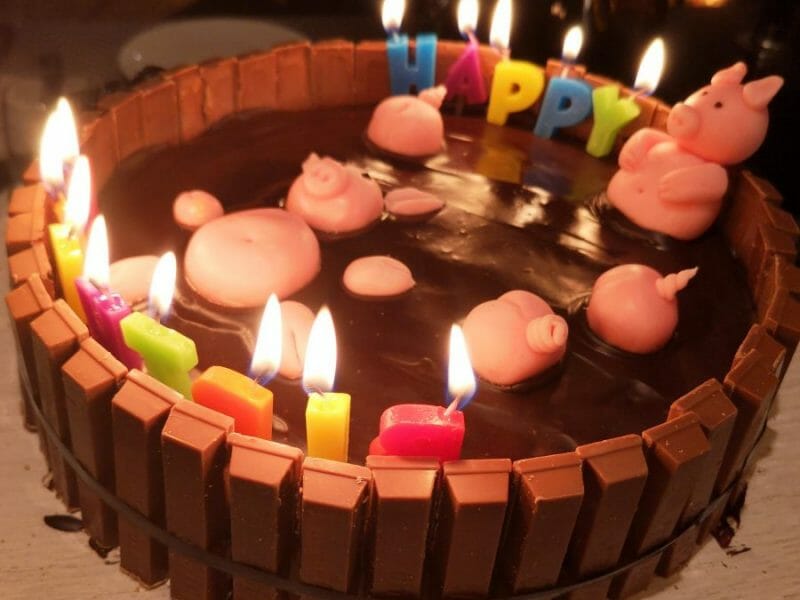 Cliquez pour zoomer ! La mare aux cochons Thermomix par ech22