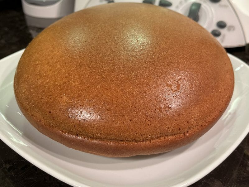 Cliquez pour zoomer ! Gâteau à l’orange Thermomix par HeleneD75
