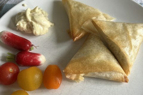 Cliquez pour zoomer ! Bricks au thon Thermomix par HeleneD75