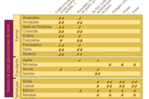 Cliquez pour zoomer ! Photo de HeleneD75