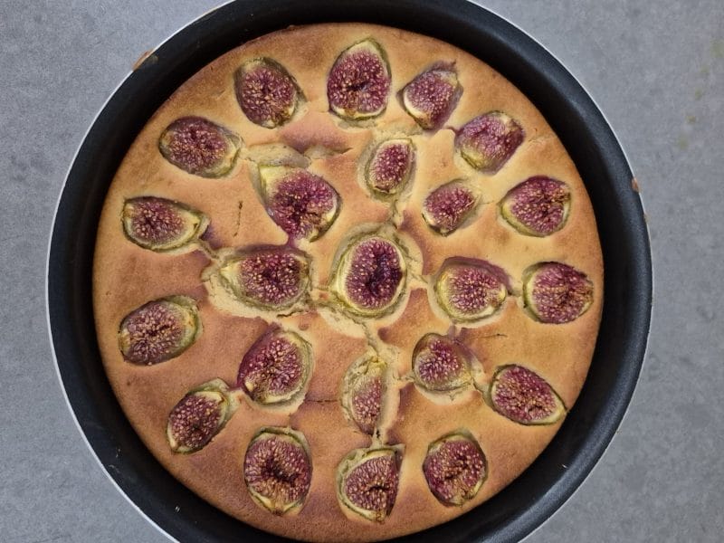Cliquez pour zoomer ! Gâteau figues et ricotta Thermomix par Lozari