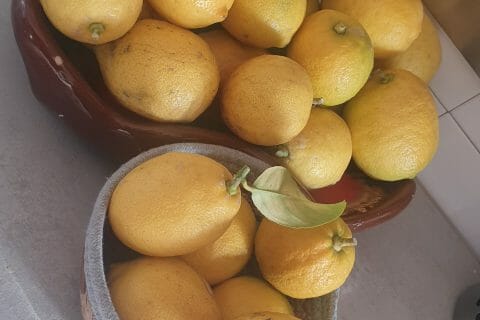 Cliquez pour zoomer ! Sirop de citron Thermomix par armogim