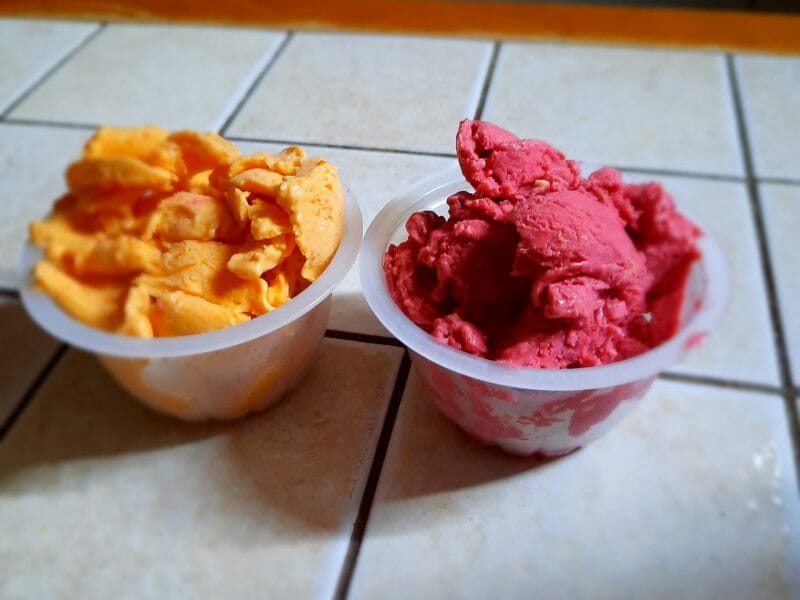 Cliquez pour zoomer ! Sorbet framboise Thermomix par Poutous d'Auvergne