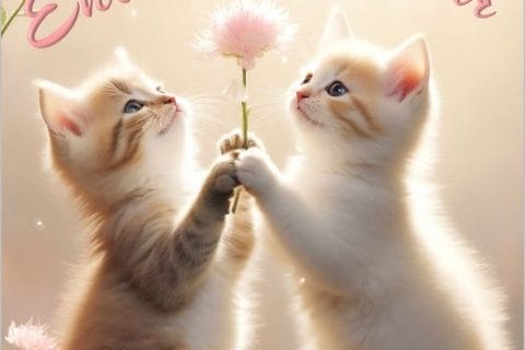 Cliquez pour zoomer ! Photo de Poutous d’Auvergne