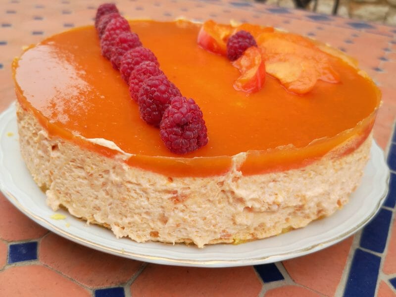 Cliquez pour zoomer ! Bavarois à l’abricot Thermomix par mimi@06