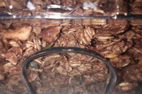 Photos des recettes