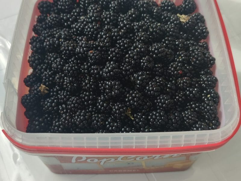 Cliquez pour zoomer ! Confiture de framboises et de mûres Thermomix par coccy