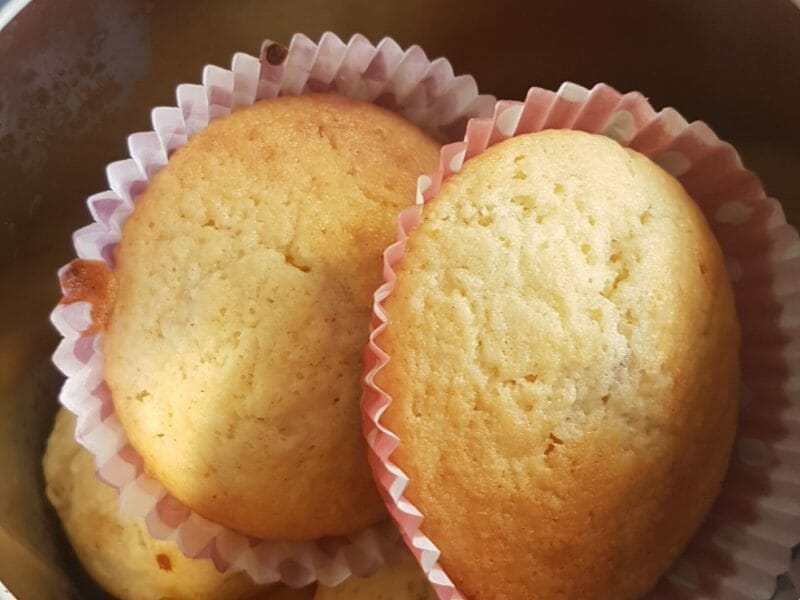 Cliquez pour zoomer ! Doffins Thermomix par Toonette