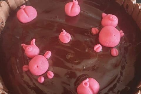 Cliquez pour zoomer ! La mare aux cochons Thermomix par Emilie59400