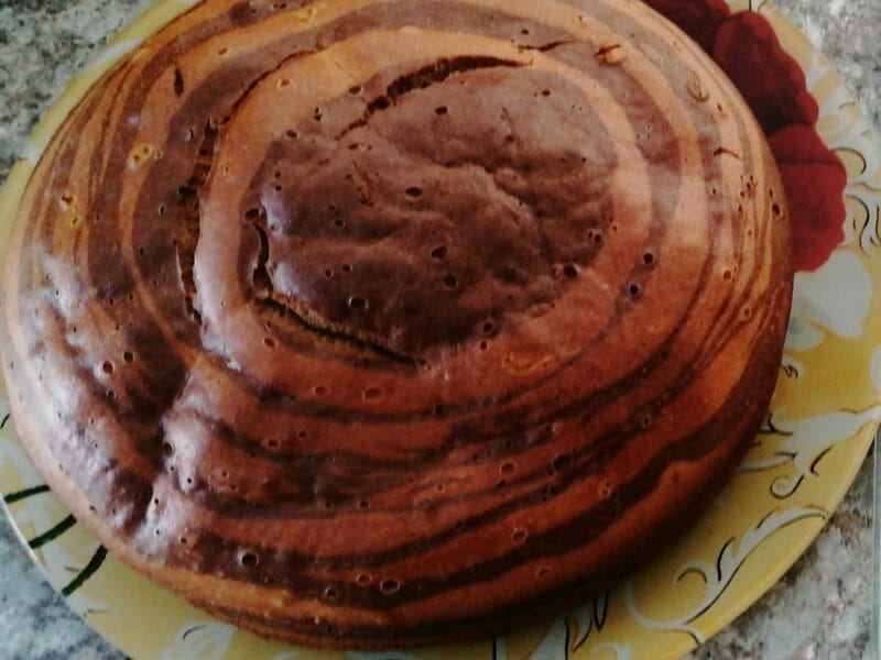 Cliquez pour zoomer ! Gâteau zébré Thermomix par stefany8401