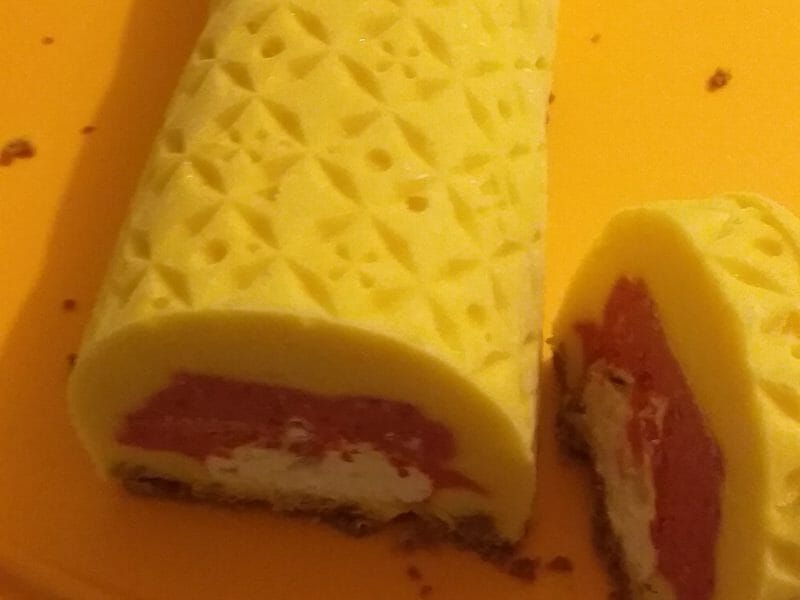 Cliquez pour zoomer ! Bûche glacée mangue et framboise Thermomix par Hyahya