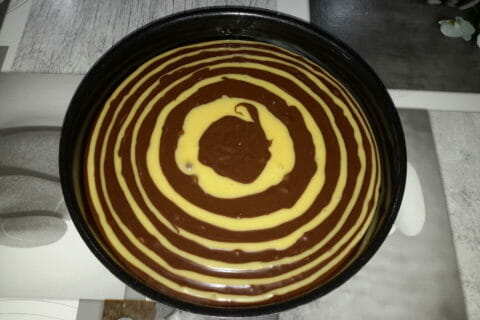 Cliquez pour zoomer ! Gâteau zébré Thermomix par Nanou73