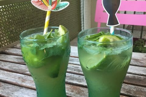 Recette Mojito Pour 10 Personnes Thermomix