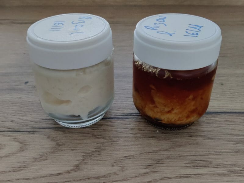 Cliquez pour zoomer ! Riz au lait Thermomix par Reglis