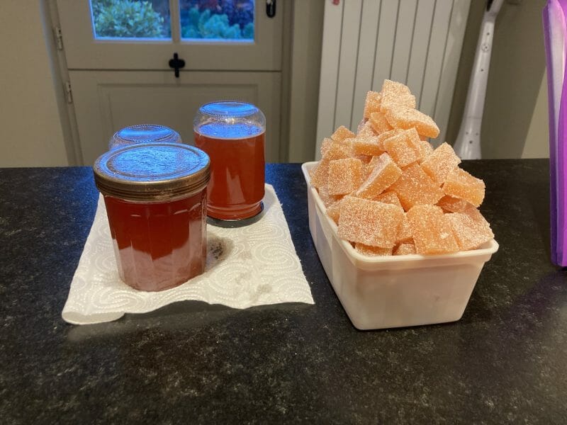 Cliquez pour zoomer ! Pâte de coing Thermomix par margotten