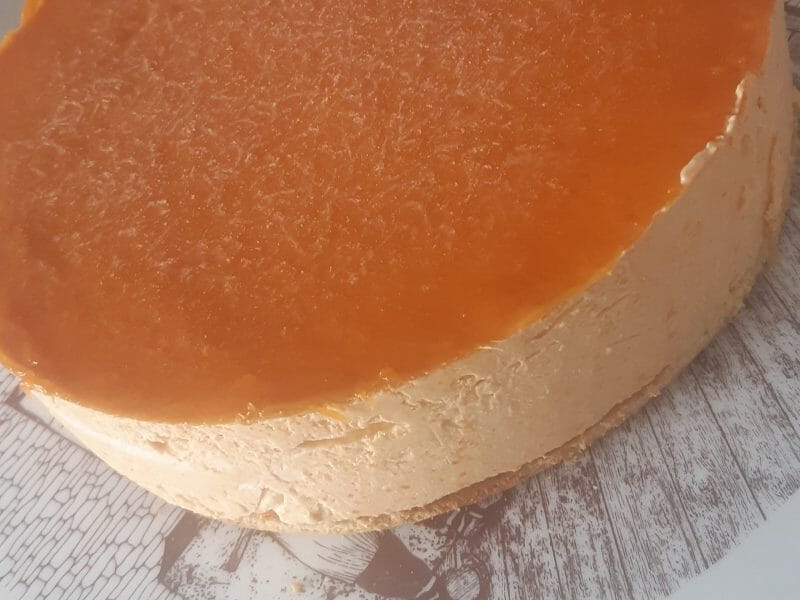 Cliquez pour zoomer ! Bavarois à l’abricot Thermomix par samamimo