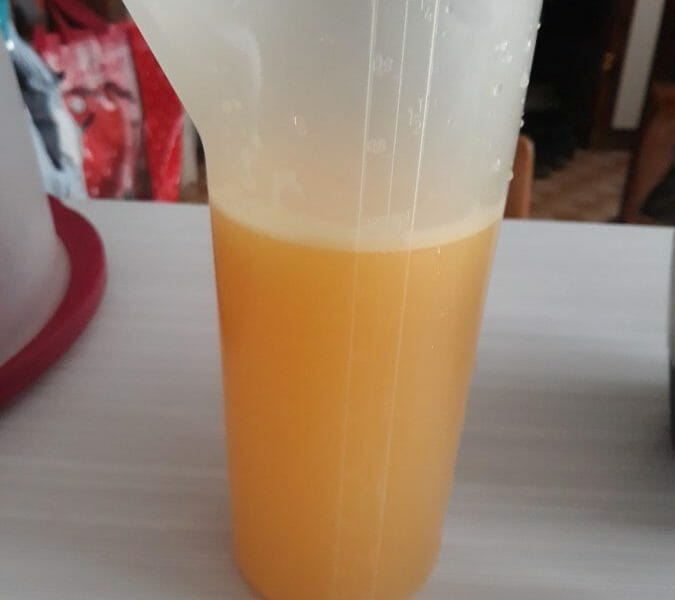 Cliquez pour zoomer ! Jus de fruits ACE Thermomix par lilisouris