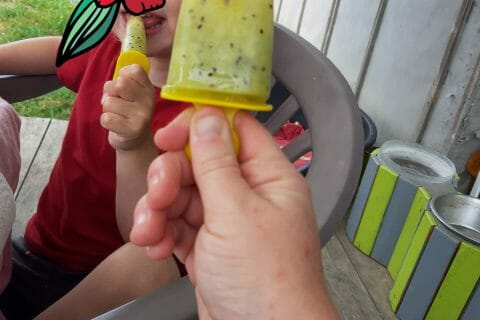 Cliquez pour zoomer ! Glace kiwi banane Thermomix par Armandine