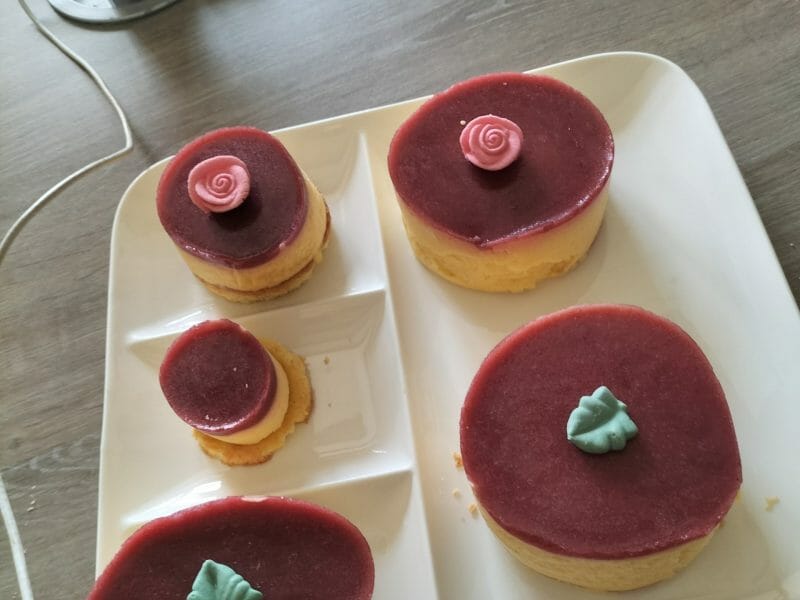 Cliquez pour zoomer ! Bavarois à l’abricot Thermomix par natty du 52