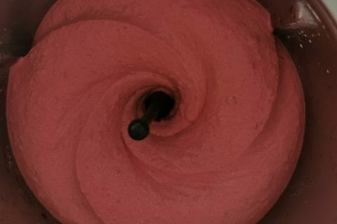 Cliquez pour zoomer ! Sorbet aux fruits rouges au Thermomix