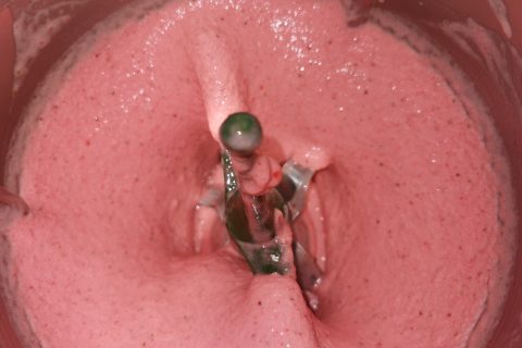 Cliquez pour zoomer ! Glace à l’italienne Thermomix par maëva mix