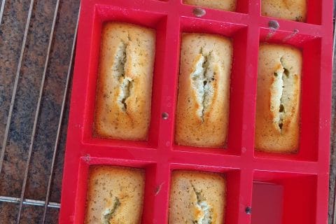 Cliquez pour zoomer ! Photo de Reneepayne