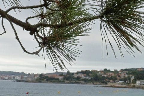 Cliquez pour zoomer ! Photo de Bredala