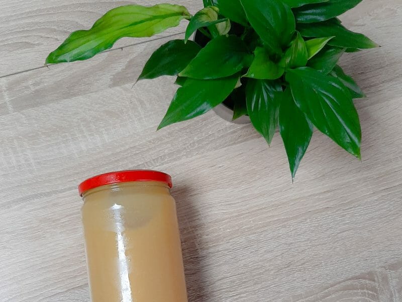 Cliquez pour zoomer ! Compote de pomme Thermomix par MumCie