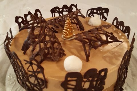 Cliquez pour zoomer ! Photo de Mamithermo