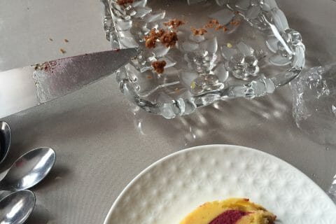 Cliquez pour zoomer ! Bûche glacée mangue et framboise au Thermomix
