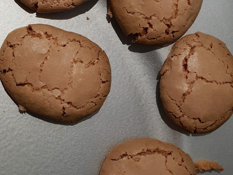 Cliquez pour zoomer ! Macarons Thermomix par reynald33