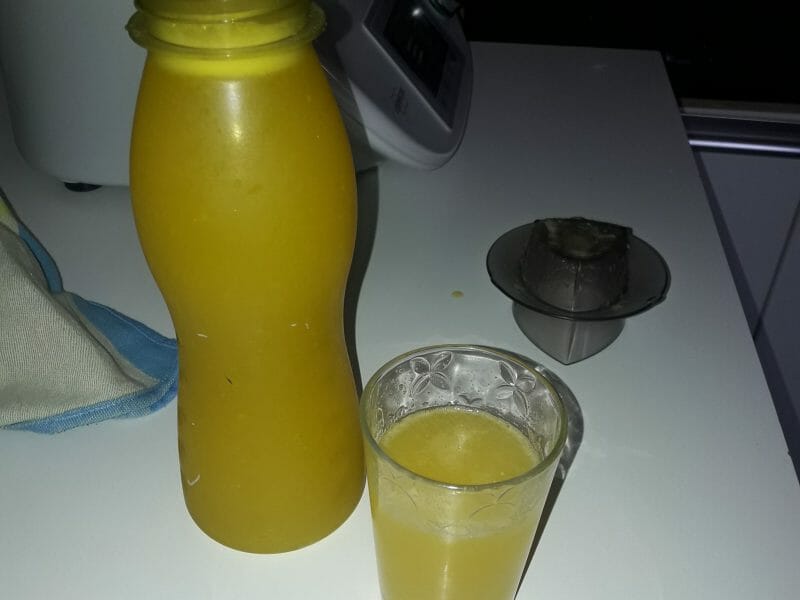 Cliquez pour zoomer ! Orangina maison Thermomix par montermomix