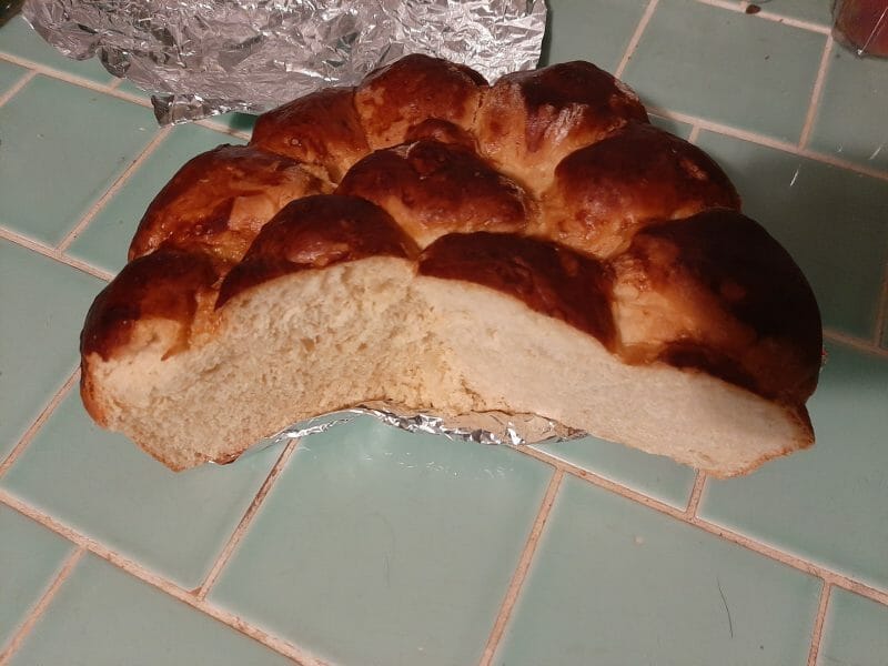 Cliquez pour zoomer ! Brioche Buchty Thermomix par Nickel