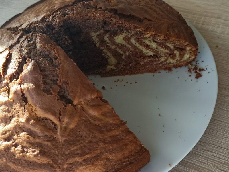 Cliquez pour zoomer ! Gâteau zébré Thermomix par CaroP