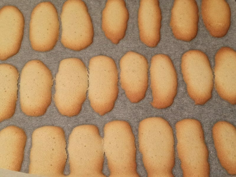 Cliquez pour zoomer ! Langues de chat Thermomix par CaroP