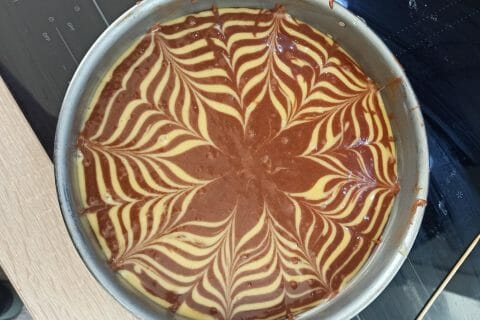 Cliquez pour zoomer ! Gâteau zébré Thermomix par CaroP