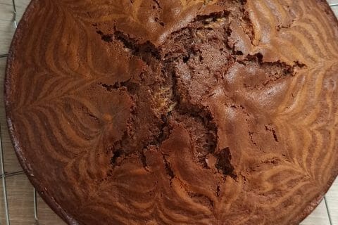 Cliquez pour zoomer ! Gâteau zébré Thermomix par CaroP