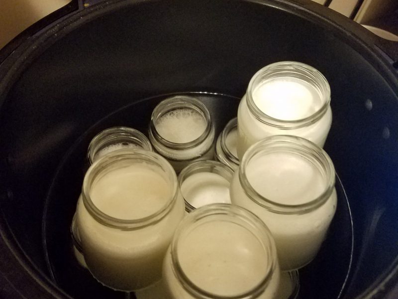 Cliquez pour zoomer ! Yaourt au Varoma Thermomix par Milityz